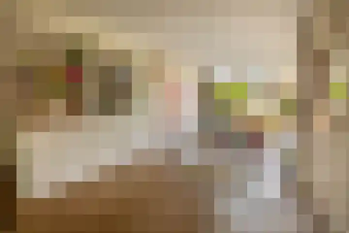 Mesdaglaan 44 Arnhem thumbnail 10