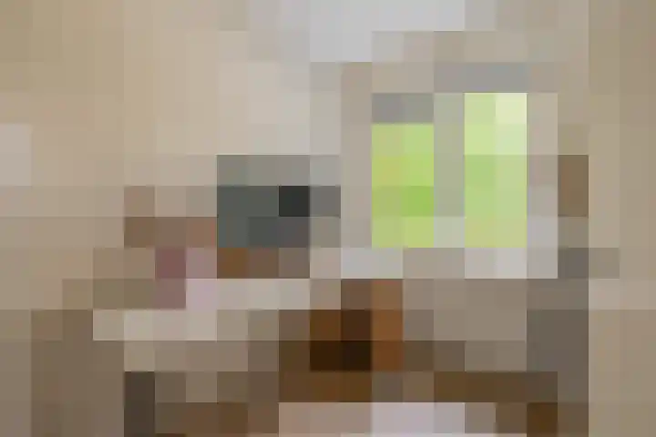 Mesdaglaan 44 Arnhem thumbnail 32