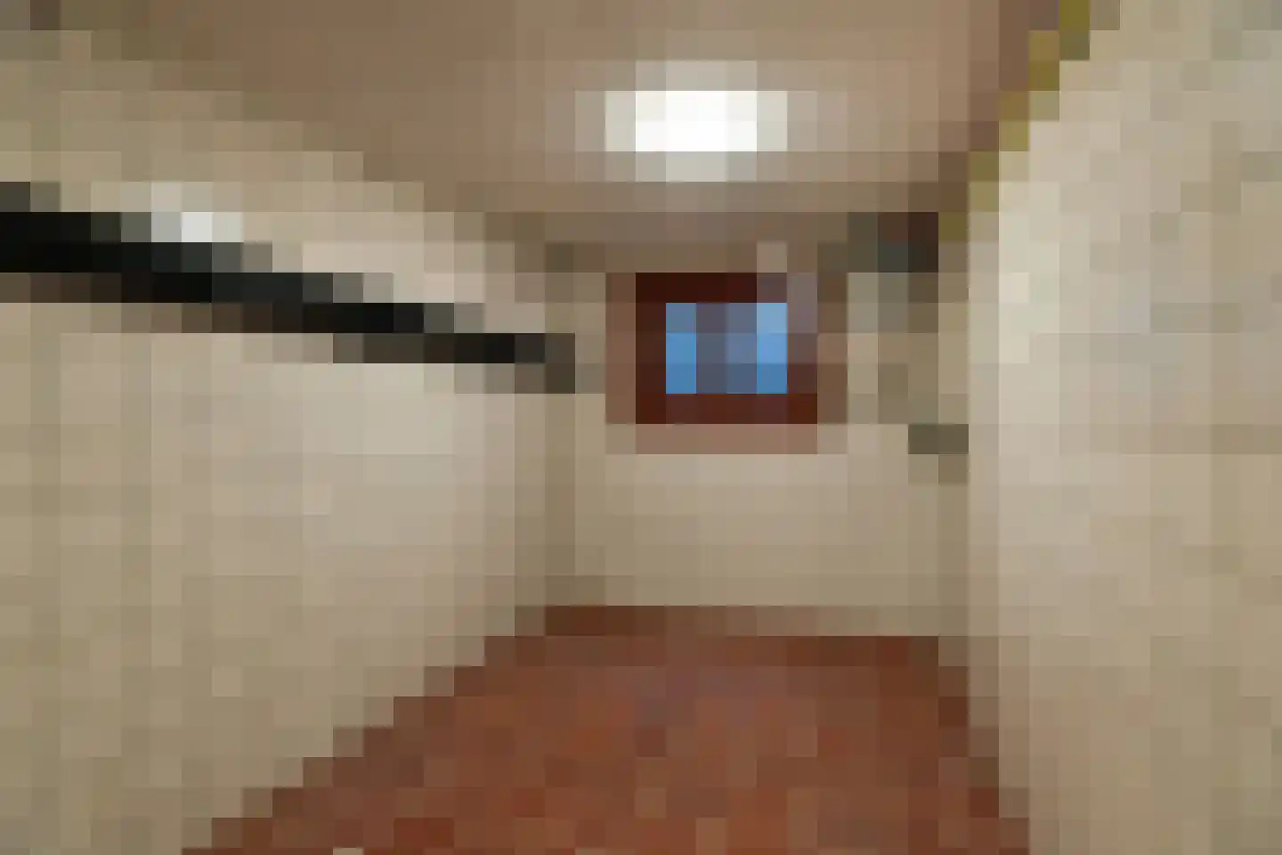 Mesdaglaan 44 Arnhem thumbnail 39