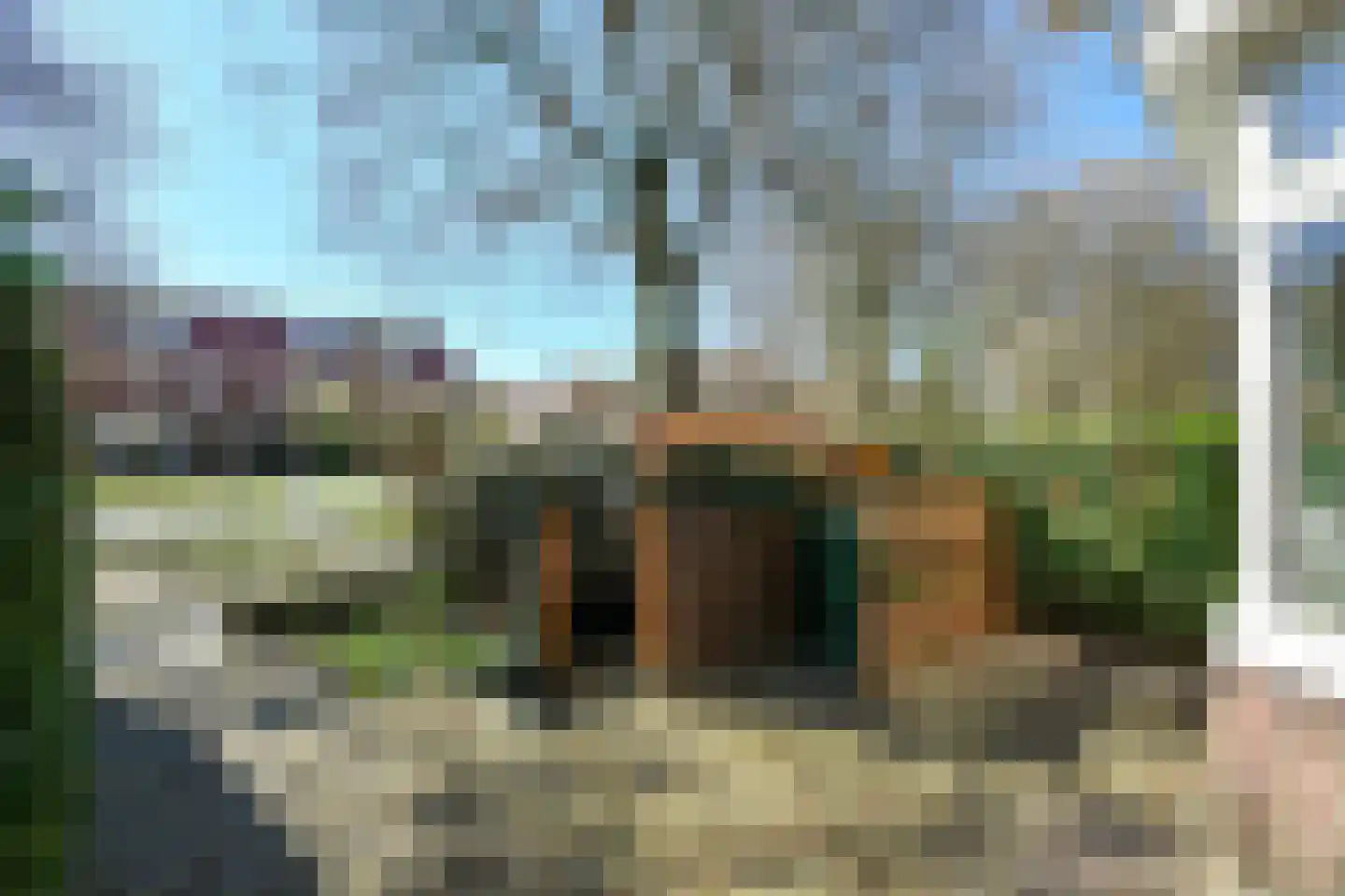 Mesdaglaan 44 Arnhem thumbnail 5