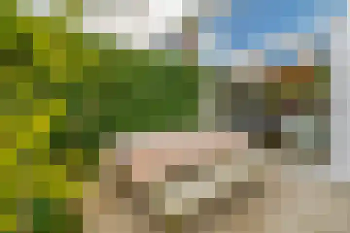Mesdaglaan 44 Arnhem thumbnail 52