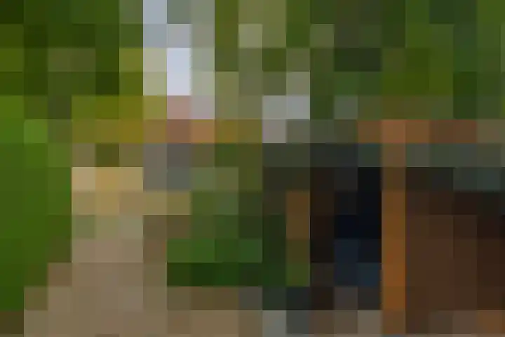 Mesdaglaan 44 Arnhem thumbnail 53