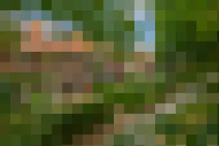 Mesdaglaan 44 Arnhem thumbnail 55