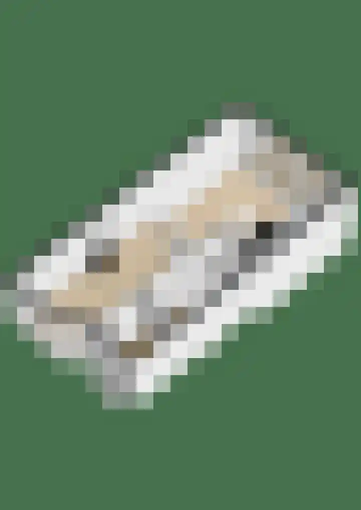 Mesdaglaan 44 Arnhem thumbnail 62
