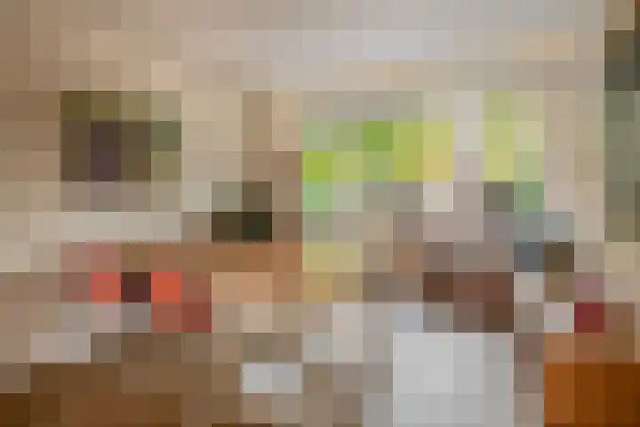 Mesdaglaan 44 Arnhem thumbnail 8