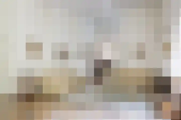Mesdaglaan 5 Bosch en Duin thumbnail 11