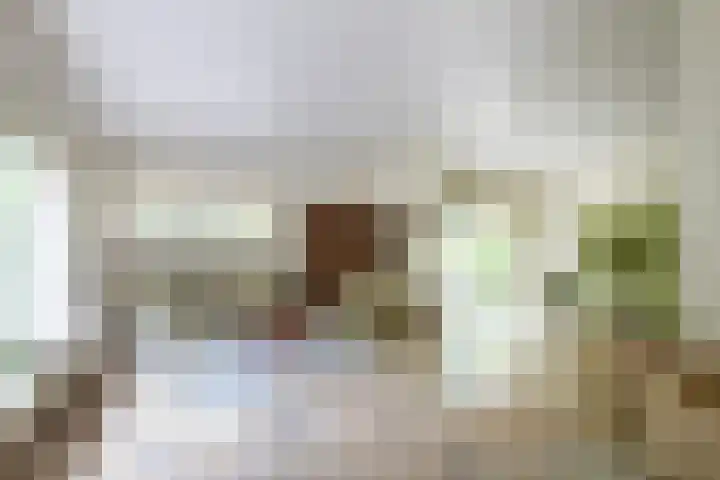 Mesdaglaan 5 Bosch en Duin thumbnail 12