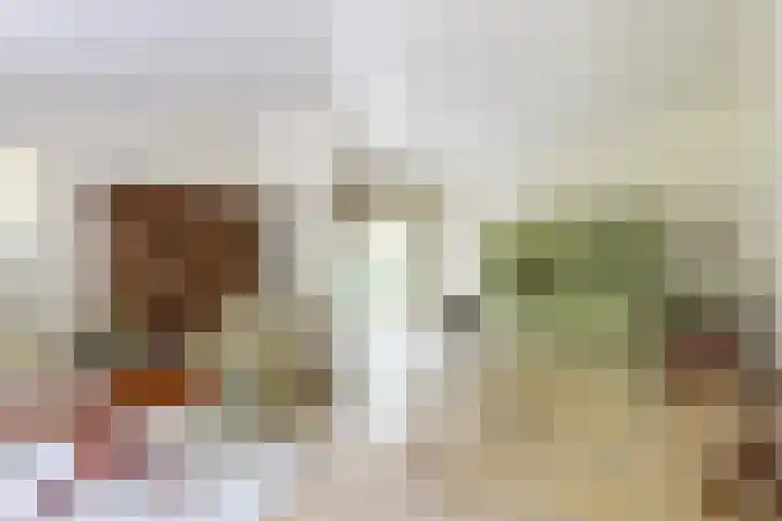 Mesdaglaan 5 Bosch en Duin thumbnail 13