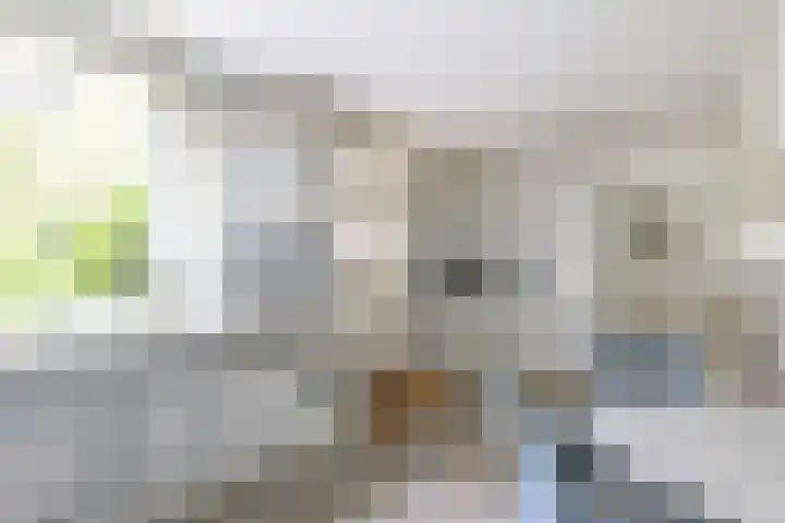 Mesdaglaan 5 Bosch en Duin thumbnail 16