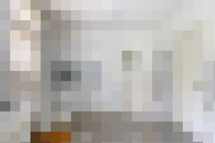 Mesdaglaan 5 Bosch en Duin thumbnail 17