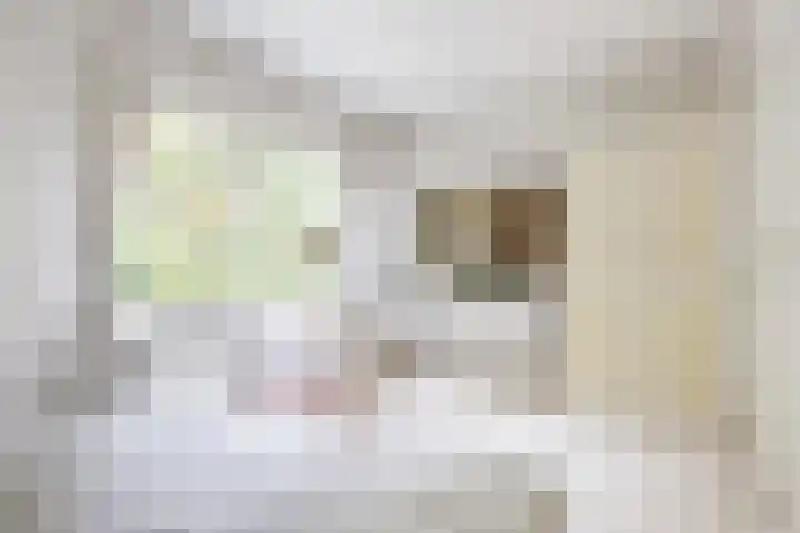 Mesdaglaan 5 Bosch en Duin thumbnail 23