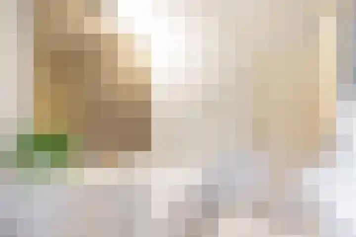 Mesdaglaan 5 Bosch en Duin thumbnail 29