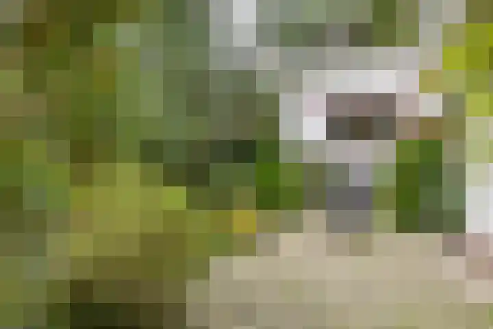 Mesdaglaan 5 Bosch en Duin thumbnail 34