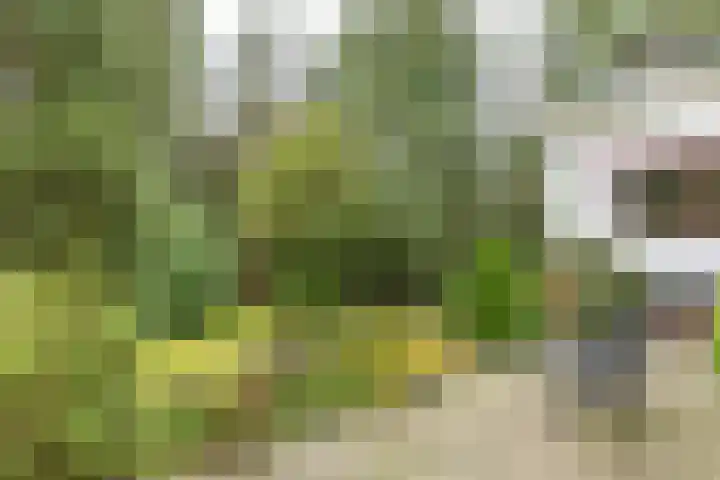 Mesdaglaan 5 Bosch en Duin thumbnail 35