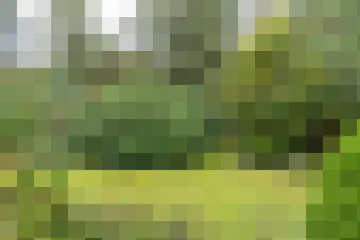 Mesdaglaan 5 Bosch en Duin thumbnail 36