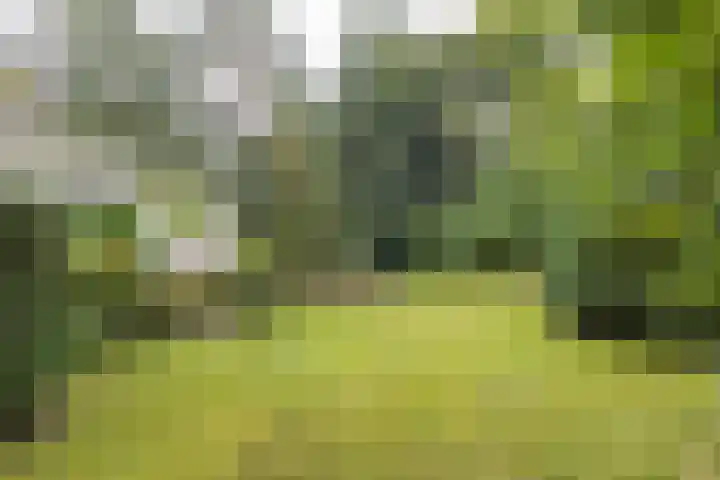 Mesdaglaan 5 Bosch en Duin thumbnail 37