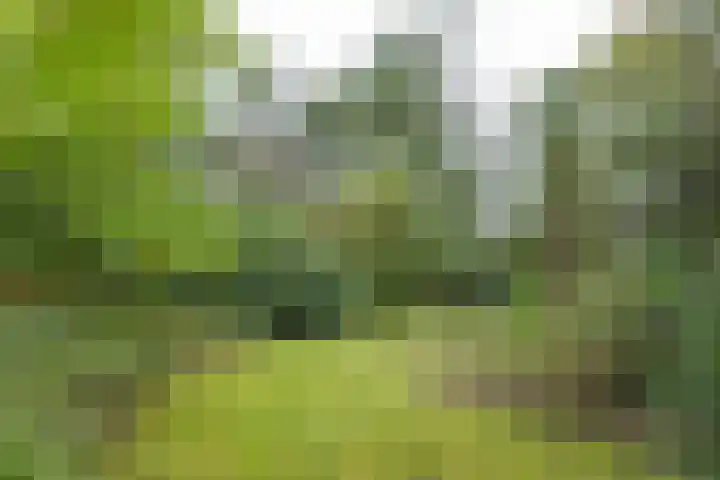 Mesdaglaan 5 Bosch en Duin thumbnail 38