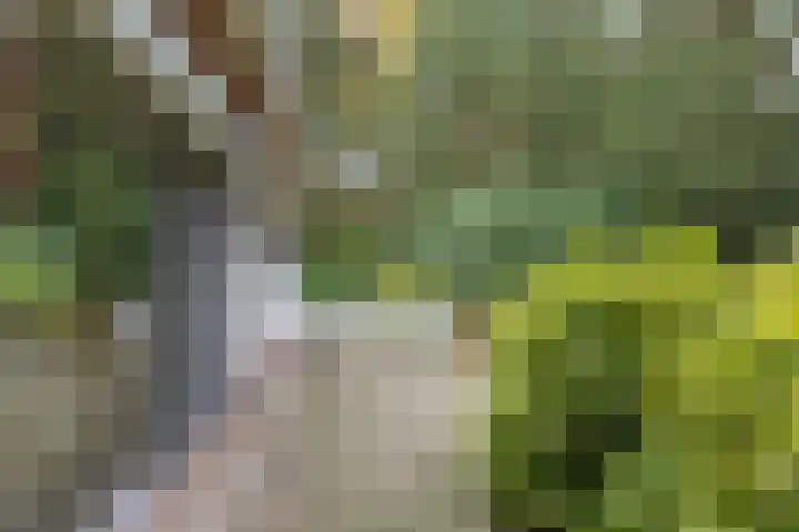 Mesdaglaan 5 Bosch en Duin thumbnail 39