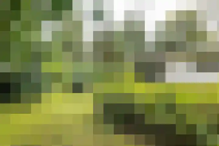Mesdaglaan 5 Bosch en Duin thumbnail 40