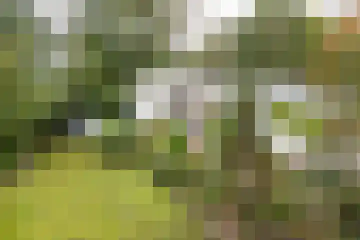 Mesdaglaan 5 Bosch en Duin thumbnail 41