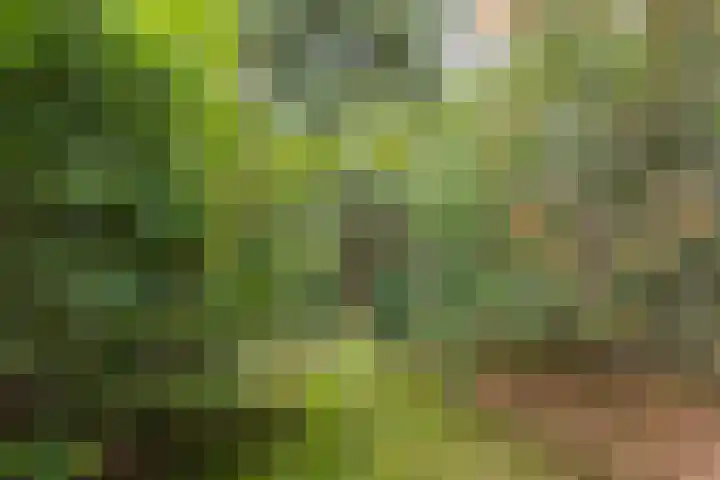 Mesdaglaan 5 Bosch en Duin thumbnail 42