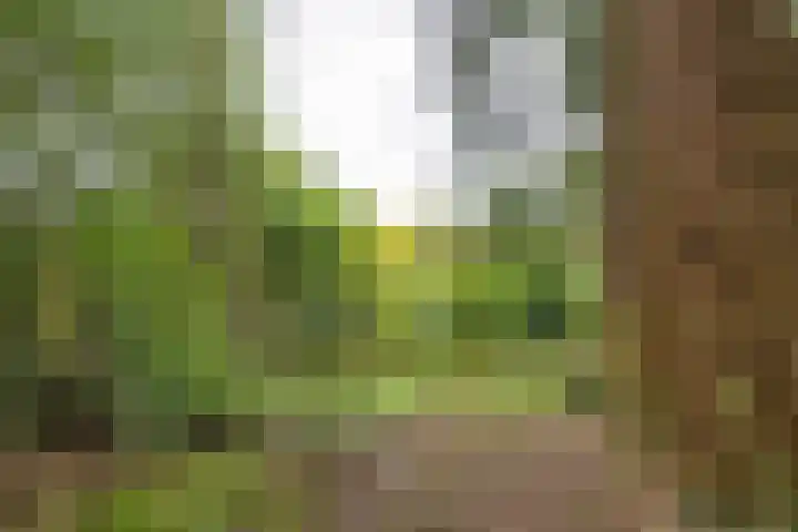 Mesdaglaan 5 Bosch en Duin thumbnail 43