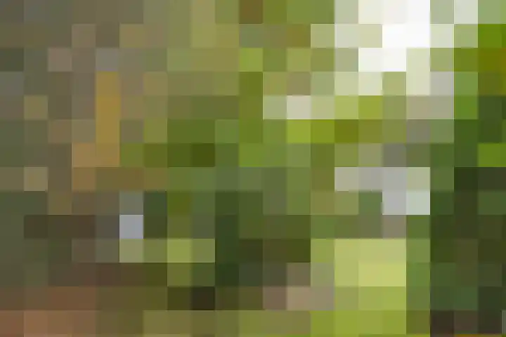 Mesdaglaan 5 Bosch en Duin thumbnail 44