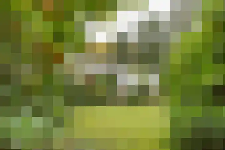 Mesdaglaan 5 Bosch en Duin thumbnail 45