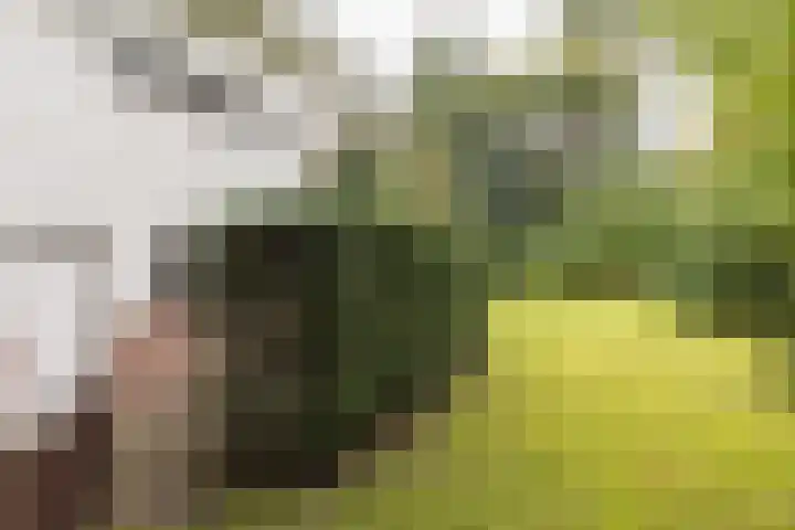 Mesdaglaan 5 Bosch en Duin thumbnail 47