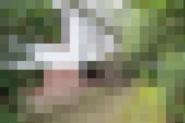 Mesdaglaan 5 Bosch en Duin thumbnail 48