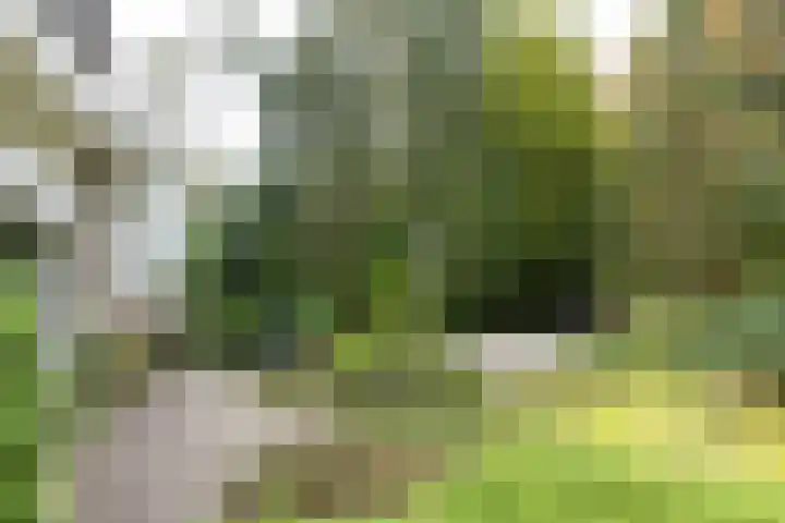 Mesdaglaan 5 Bosch en Duin thumbnail 49
