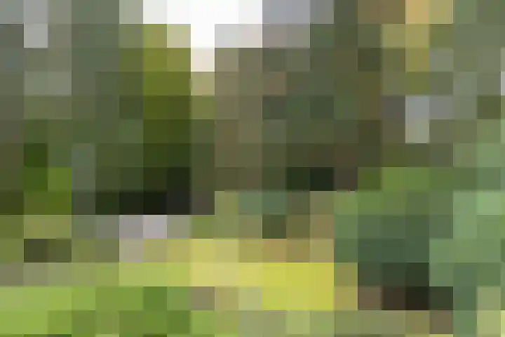 Mesdaglaan 5 Bosch en Duin thumbnail 50
