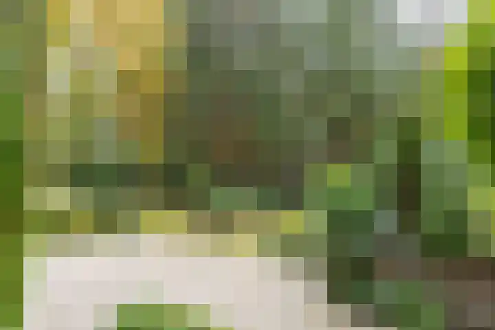 Mesdaglaan 5 Bosch en Duin thumbnail 51