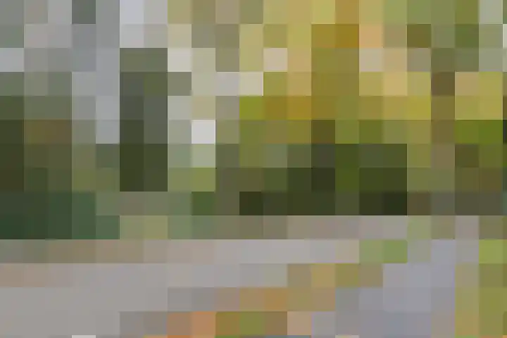 Mesdaglaan 5 Bosch en Duin thumbnail 52