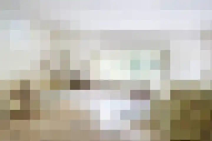 Mesdaglaan 5 Bosch en Duin thumbnail 8