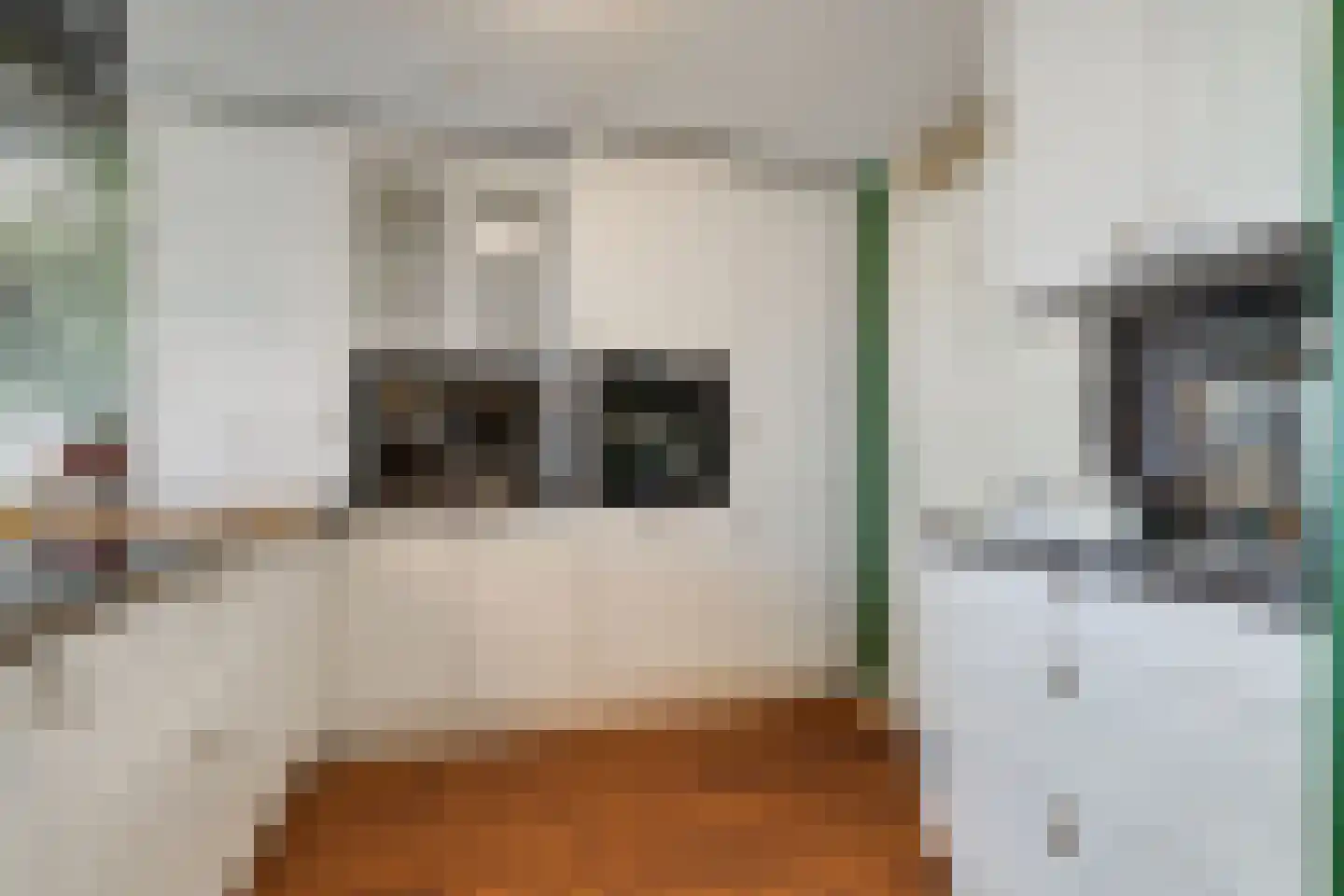 Mesdaglaan 55 Maassluis thumbnail 20