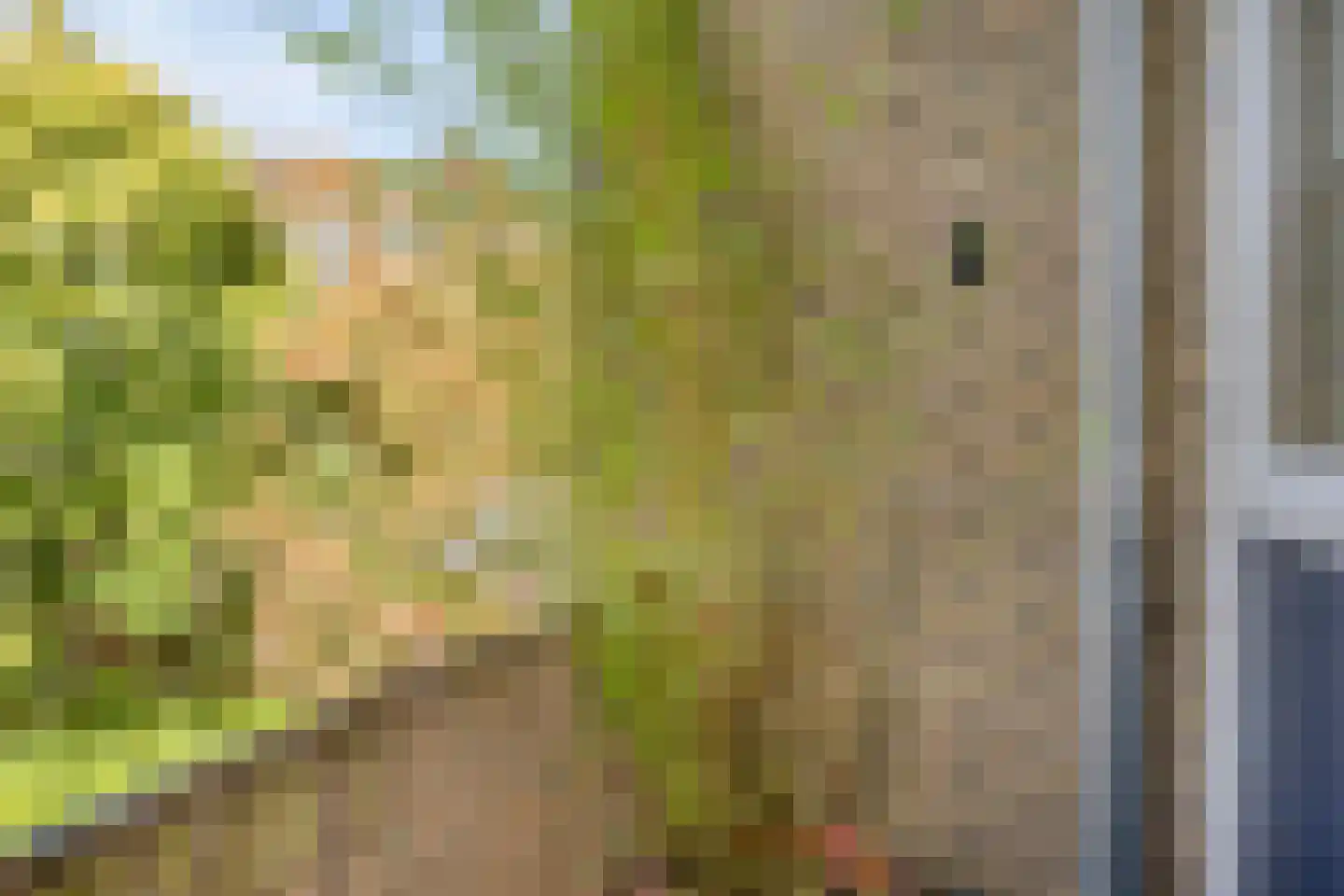Mesdaglaan 76 2 Arnhem thumbnail 10