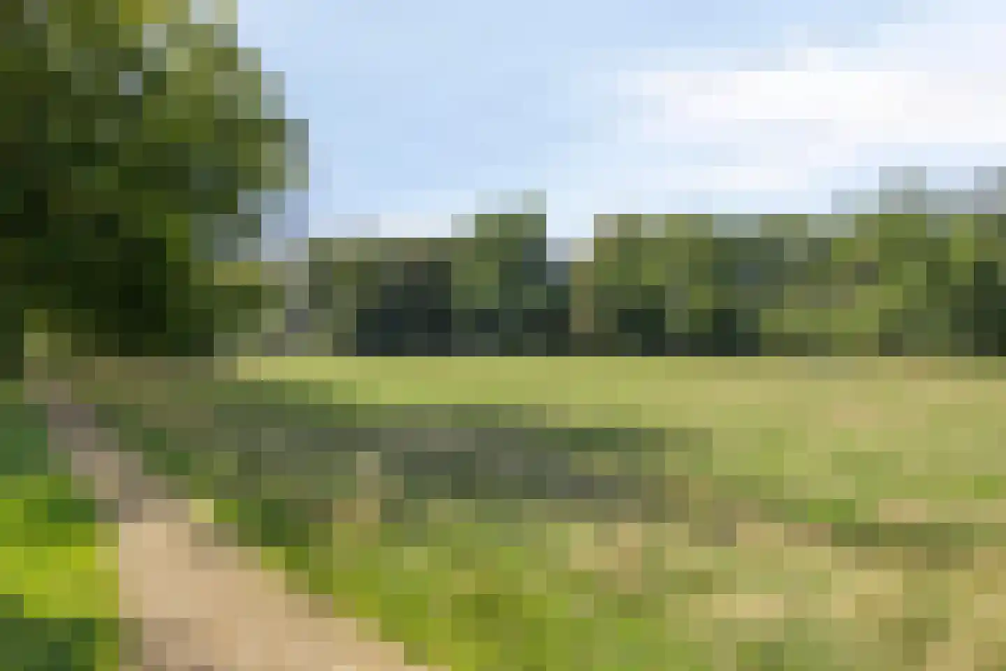Mesdaglaan 76 2 Arnhem thumbnail 21