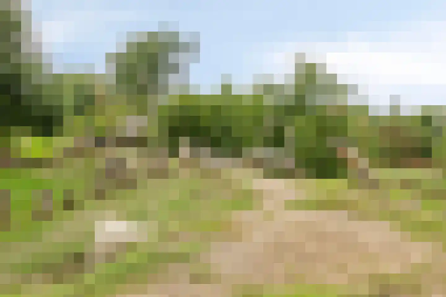 Mesdaglaan 76 2 Arnhem thumbnail 22