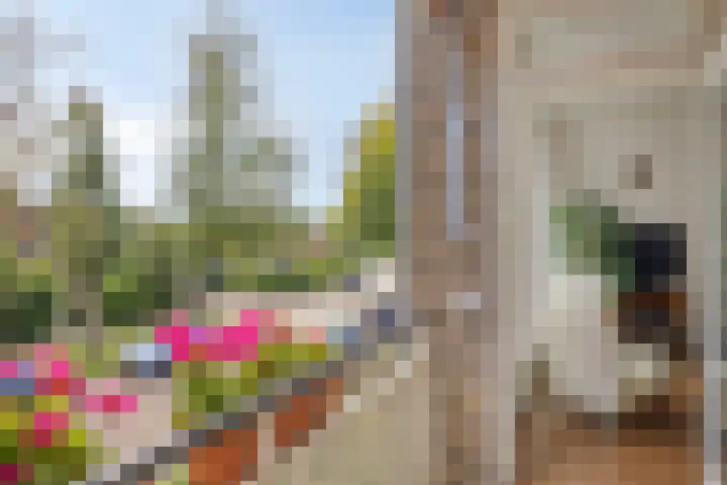 Mesdaglaan 76 2 Arnhem thumbnail 7