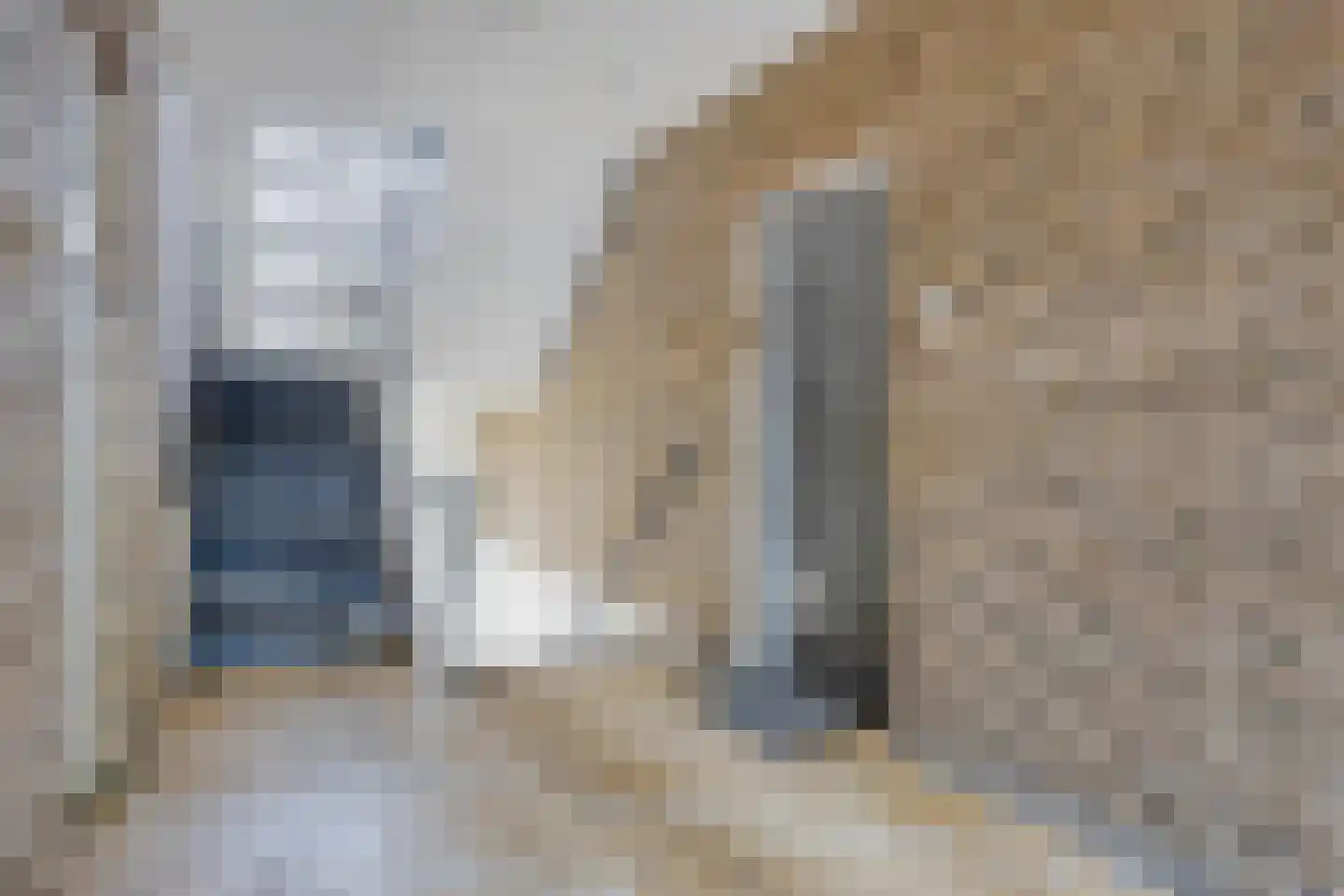 Mesdaglaan 78 1 Arnhem thumbnail 21