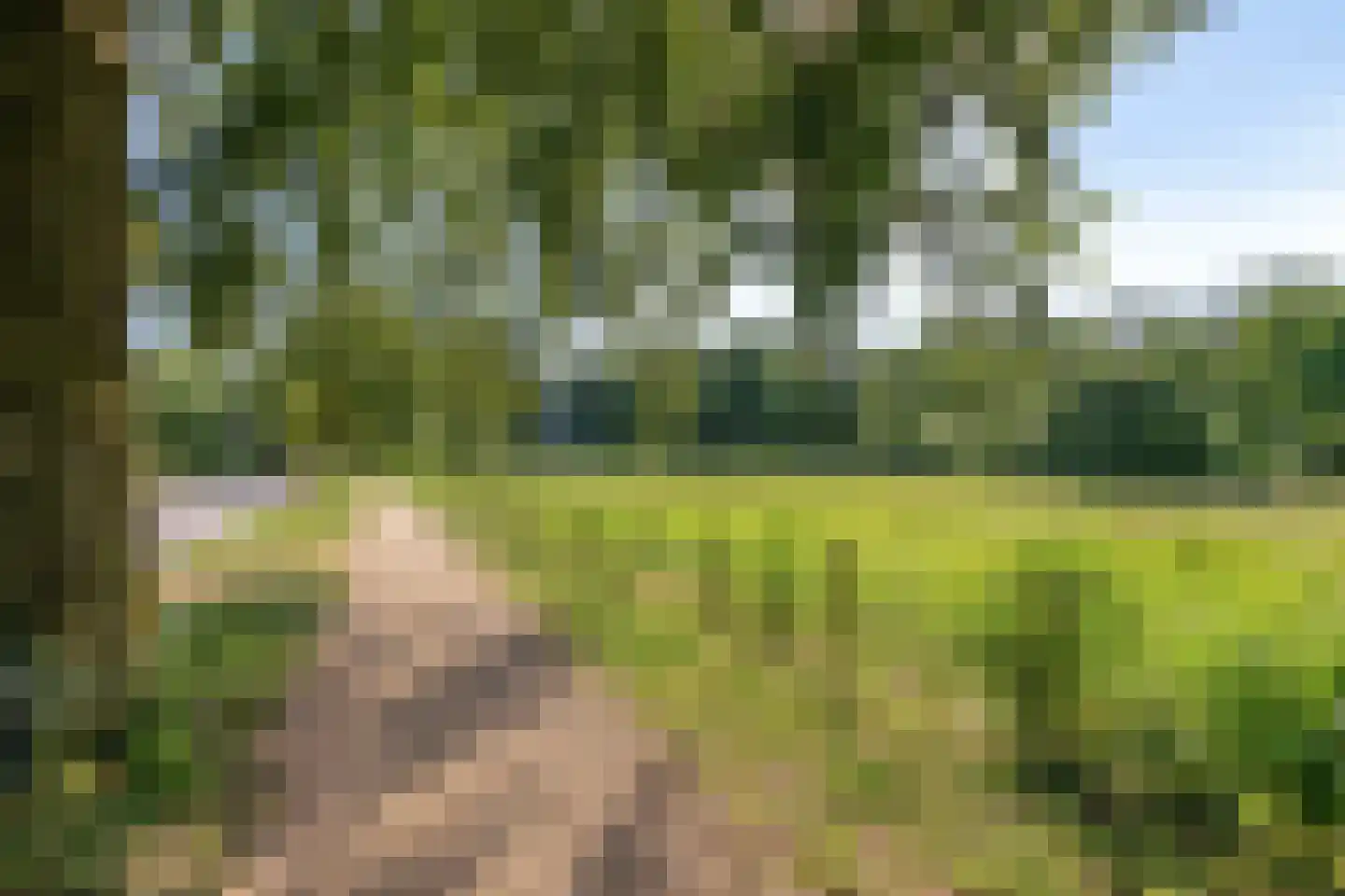 Mesdaglaan 78 1 Arnhem thumbnail 24