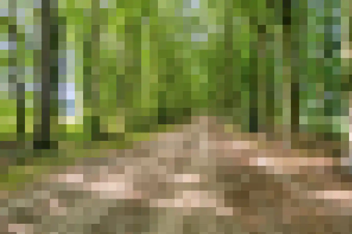 Mesdaglaan 78 1 Arnhem thumbnail 25