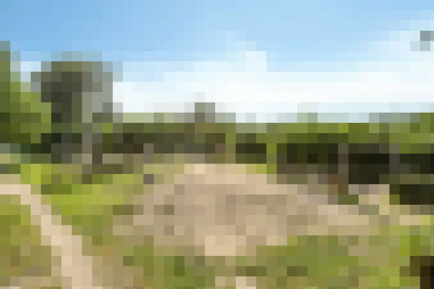 Mesdaglaan 78 1 Arnhem thumbnail 26