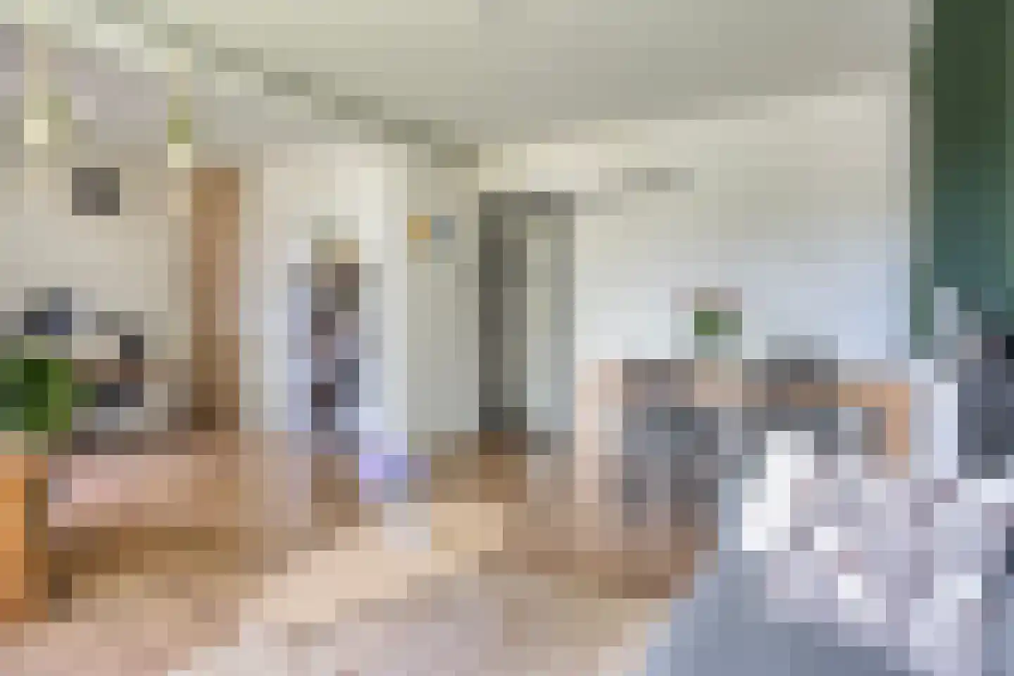 Mesdaglaan 78 1 Arnhem thumbnail 7