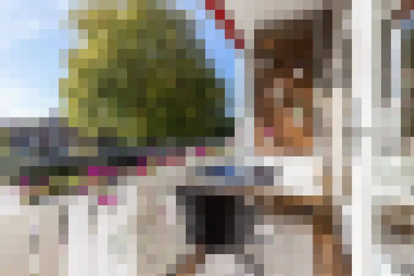 Mesdaglaan 82 2 Arnhem thumbnail 11