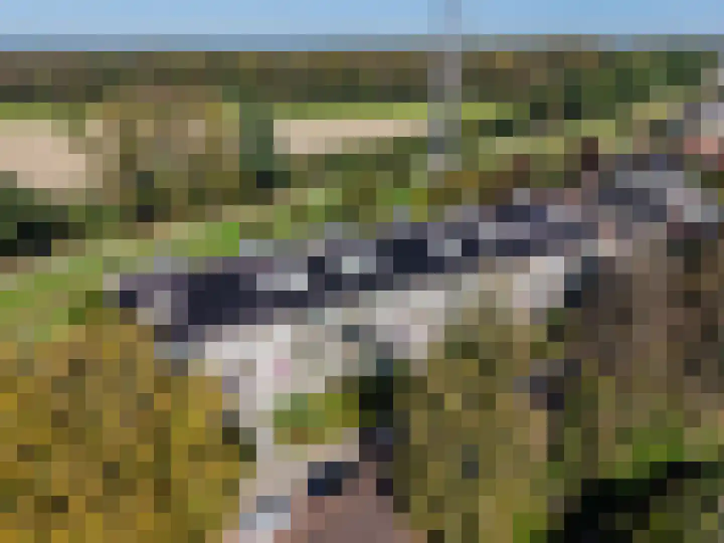 Mesdaglaan 82 2 Arnhem thumbnail 31