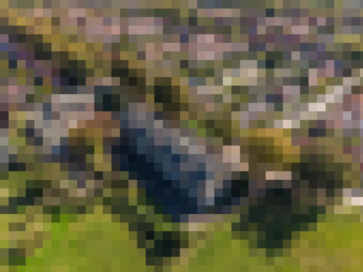 Mesdaglaan 82 2 Arnhem thumbnail 32