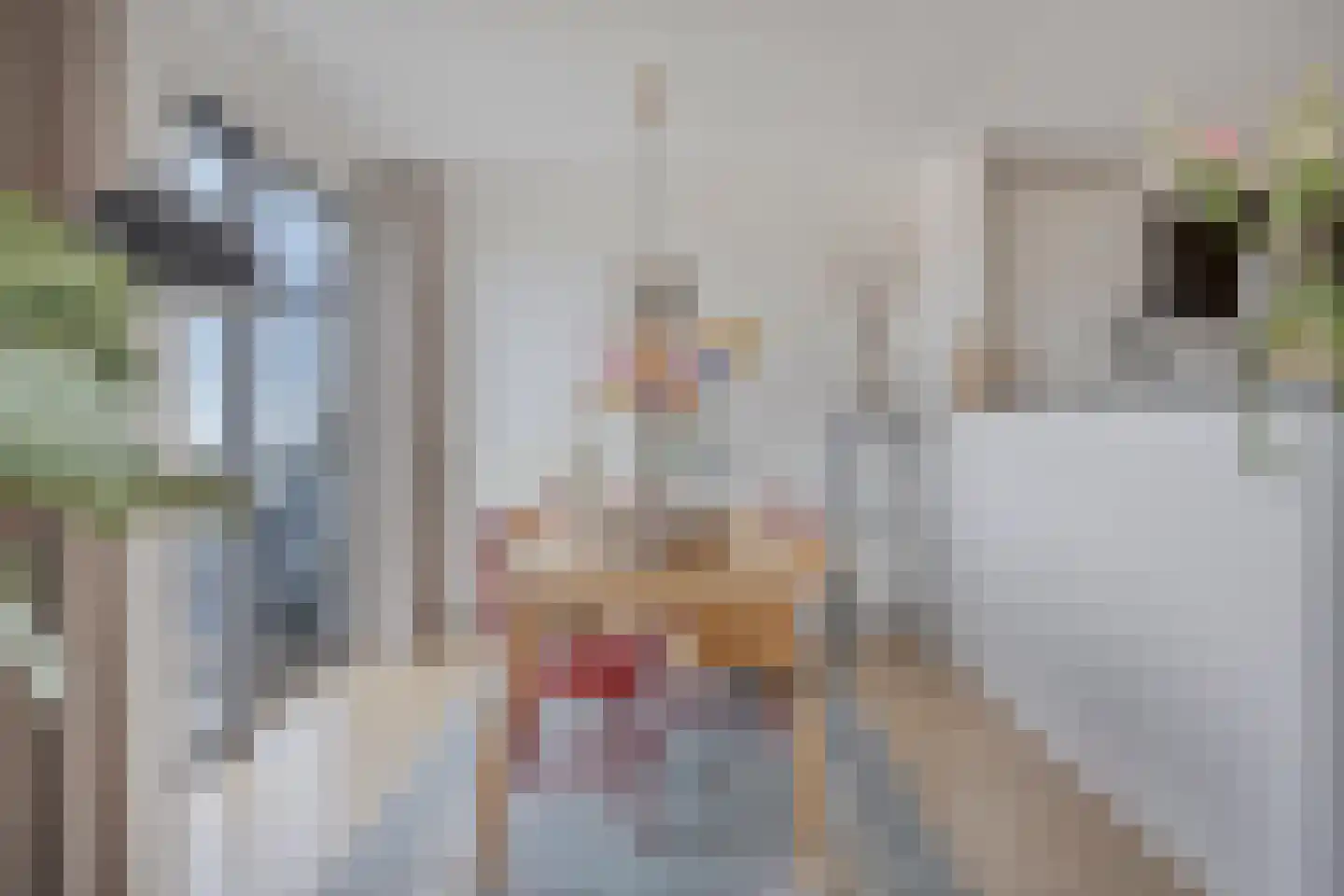 Mesdaglaan 85 Maassluis thumbnail 33