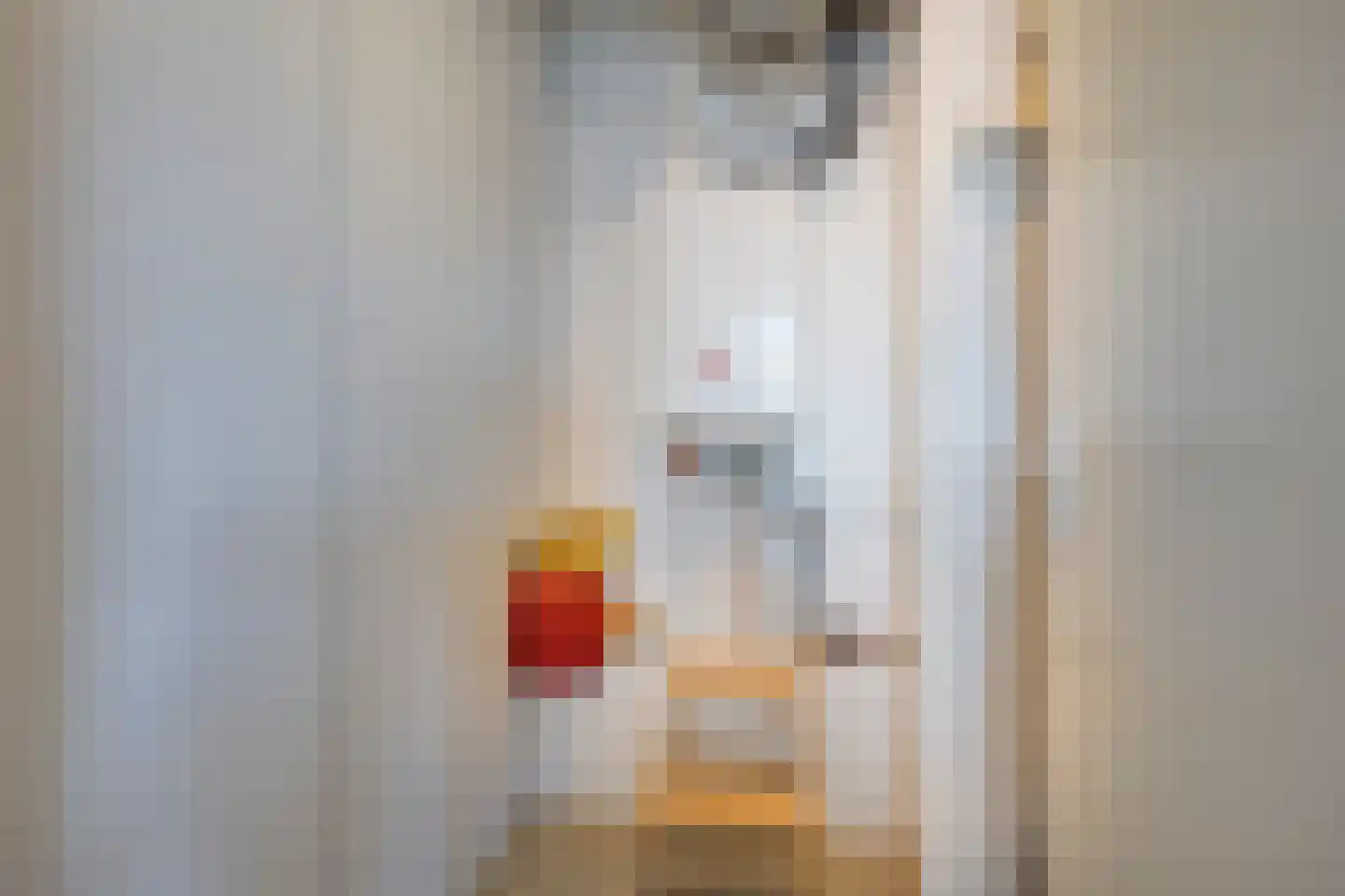 Mesdaglaan 85 Maassluis thumbnail 36